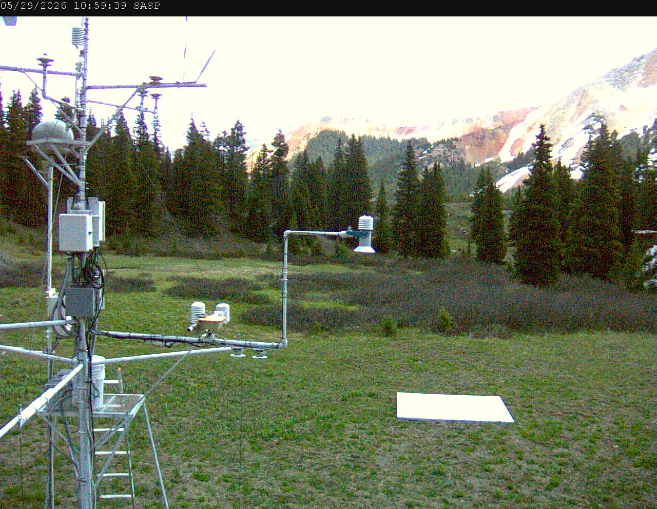 SASP image 6