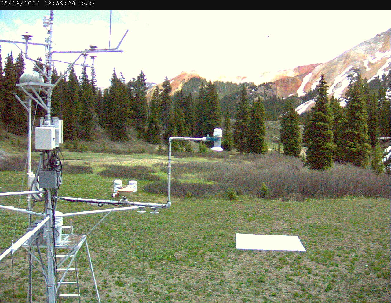 SASP image 5