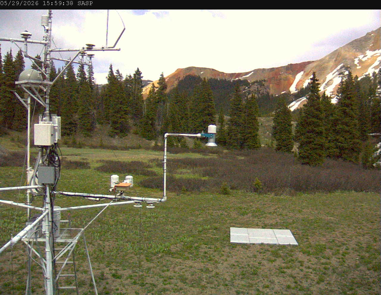SASP image 4