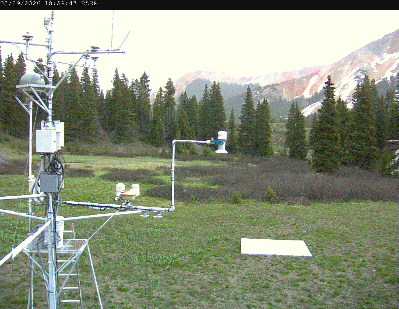 SASP image 1