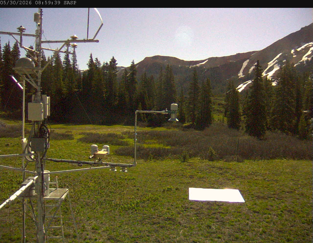 SASP image