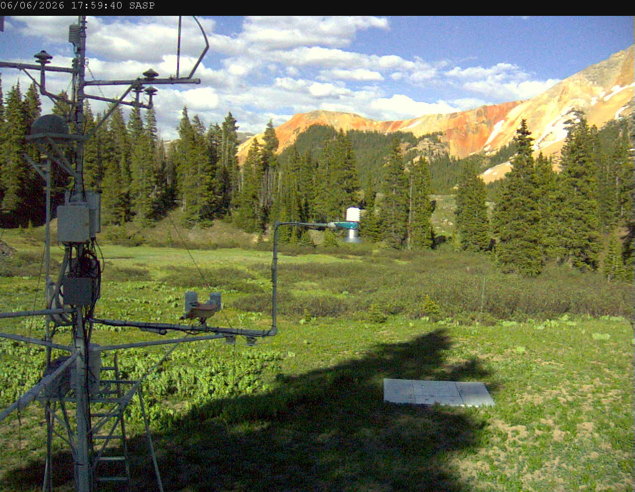 SASP image 7