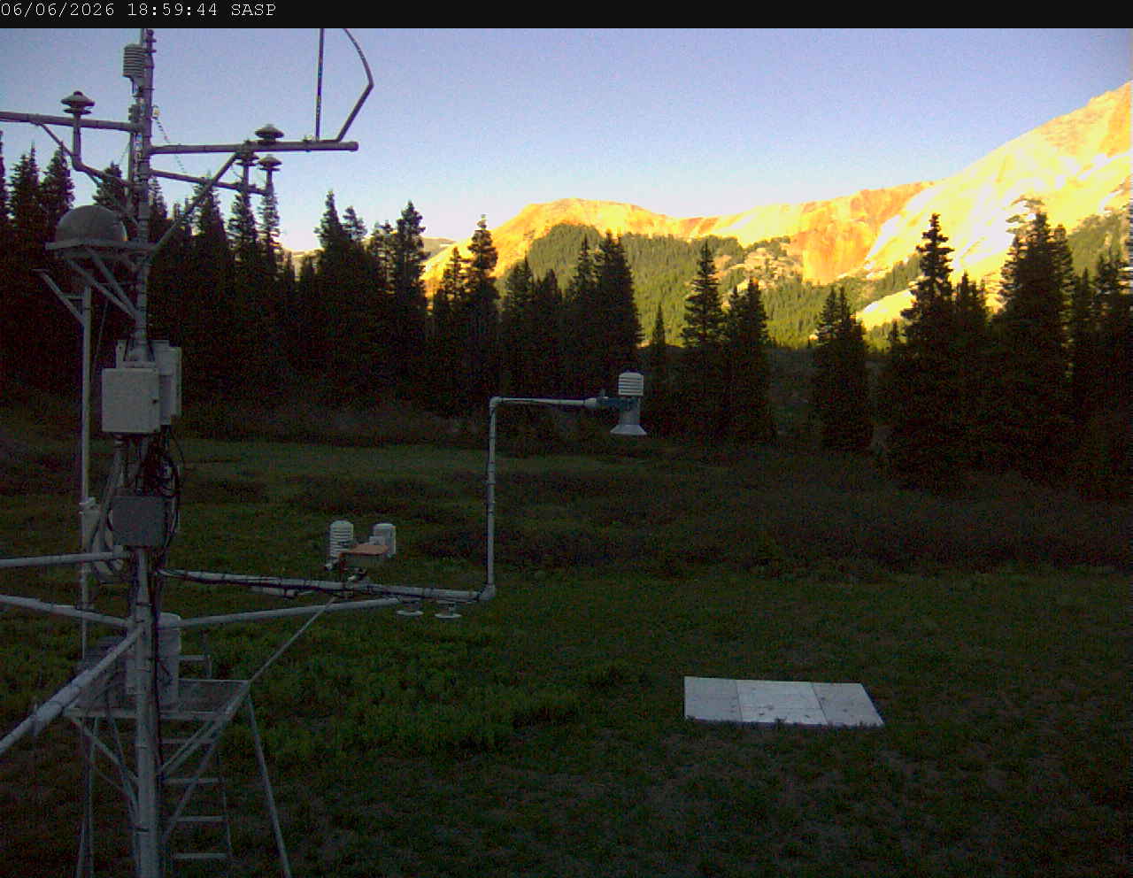 SASP image 6
