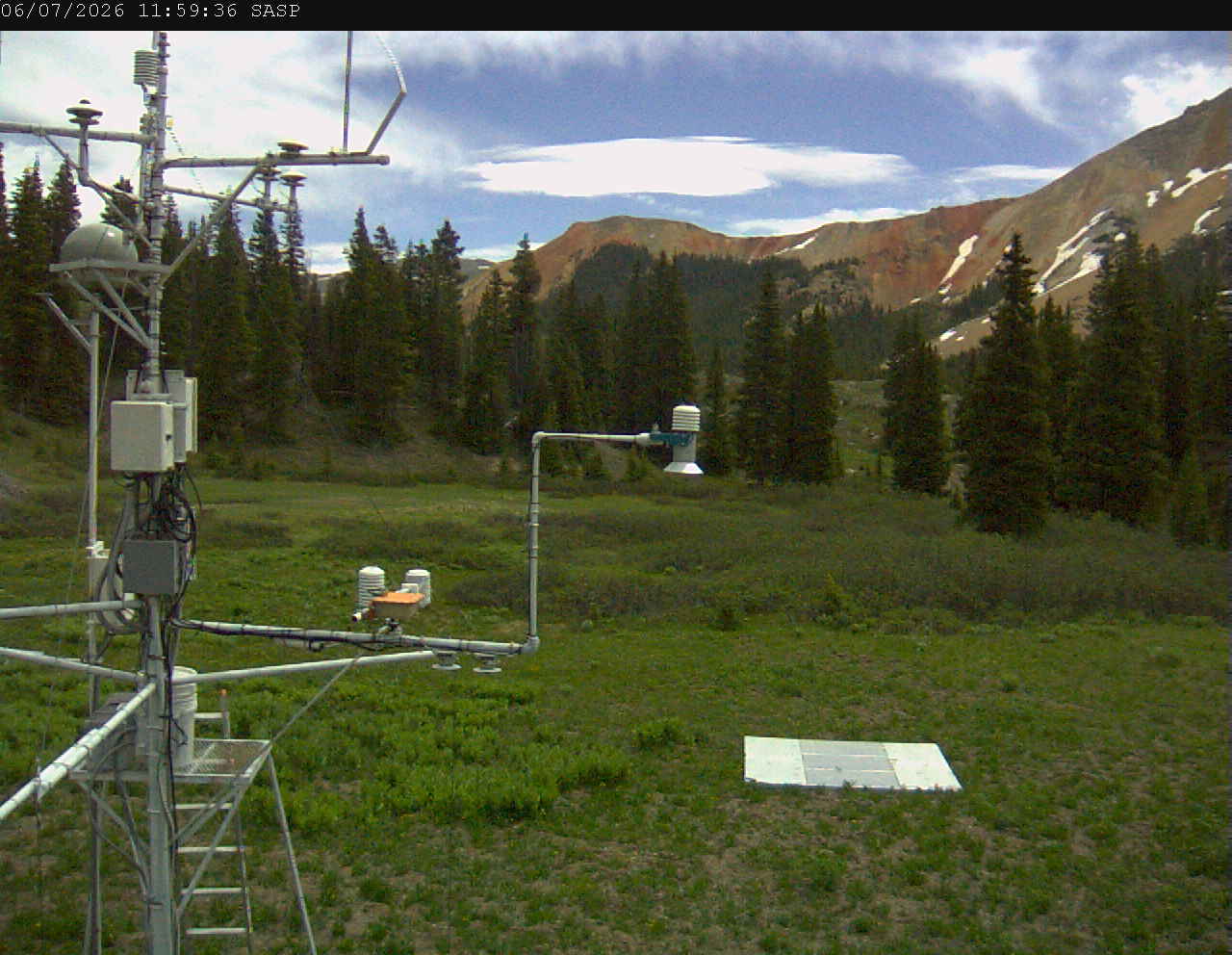 SASP image 5