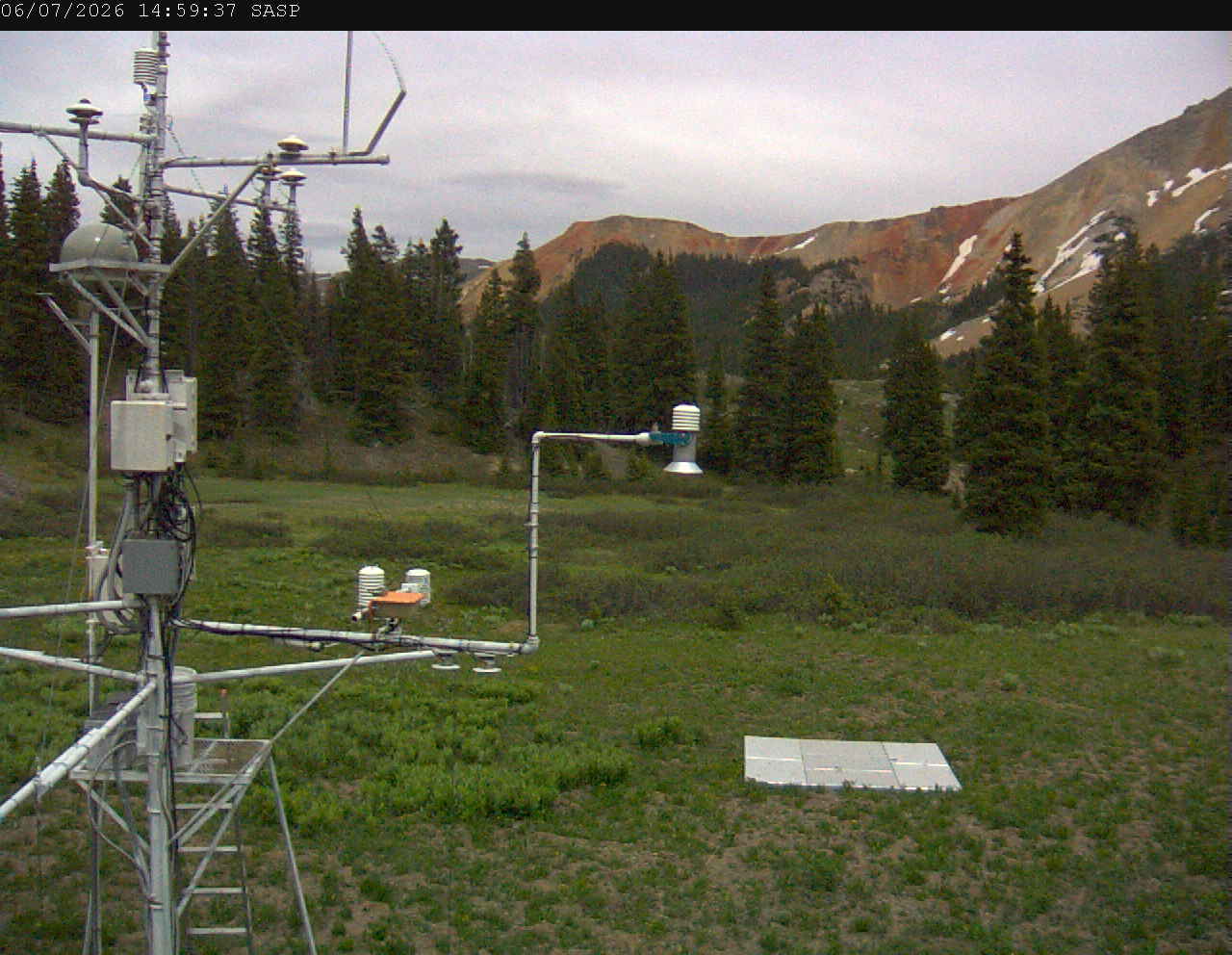 SASP image 3