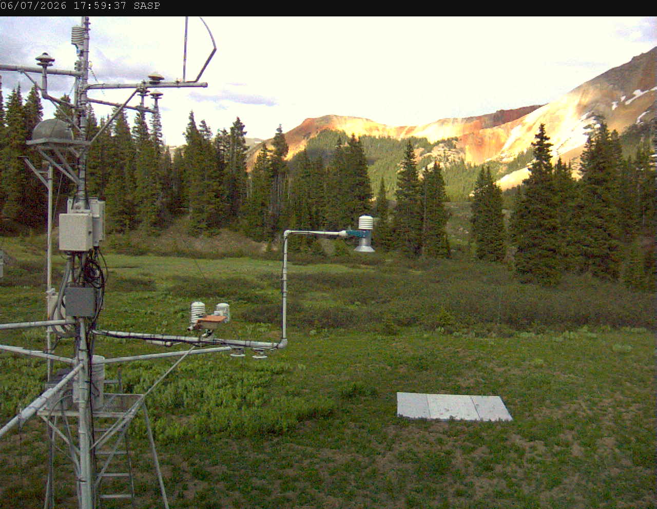 SASP image 1