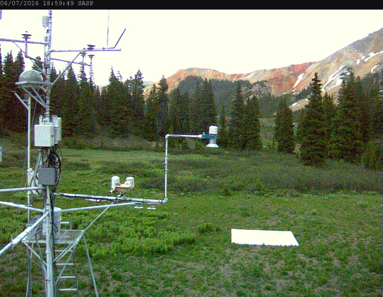 SASP image