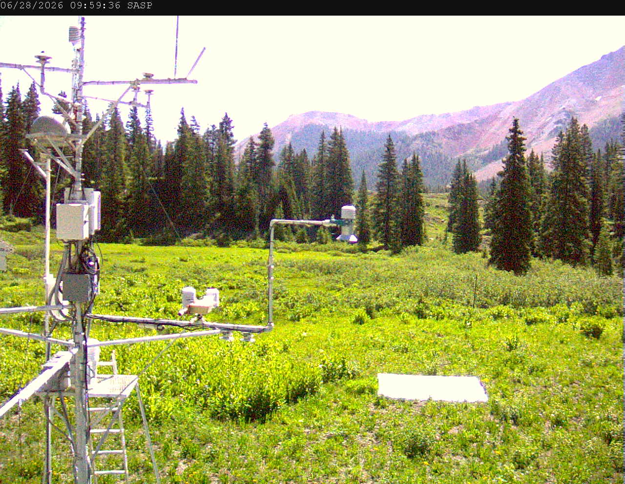 SASP image 6