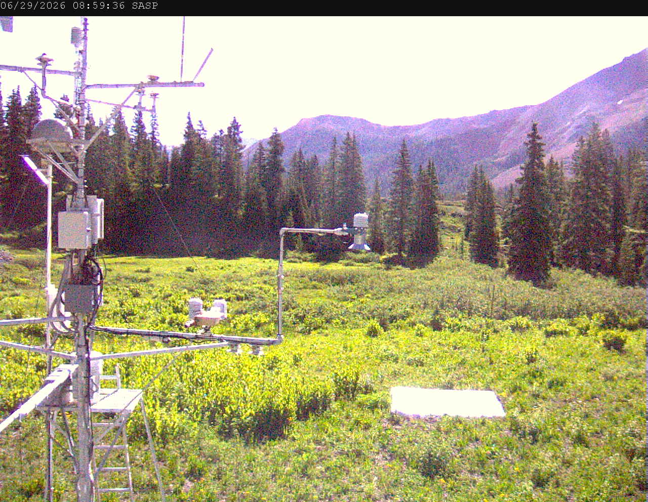 SASP image 5