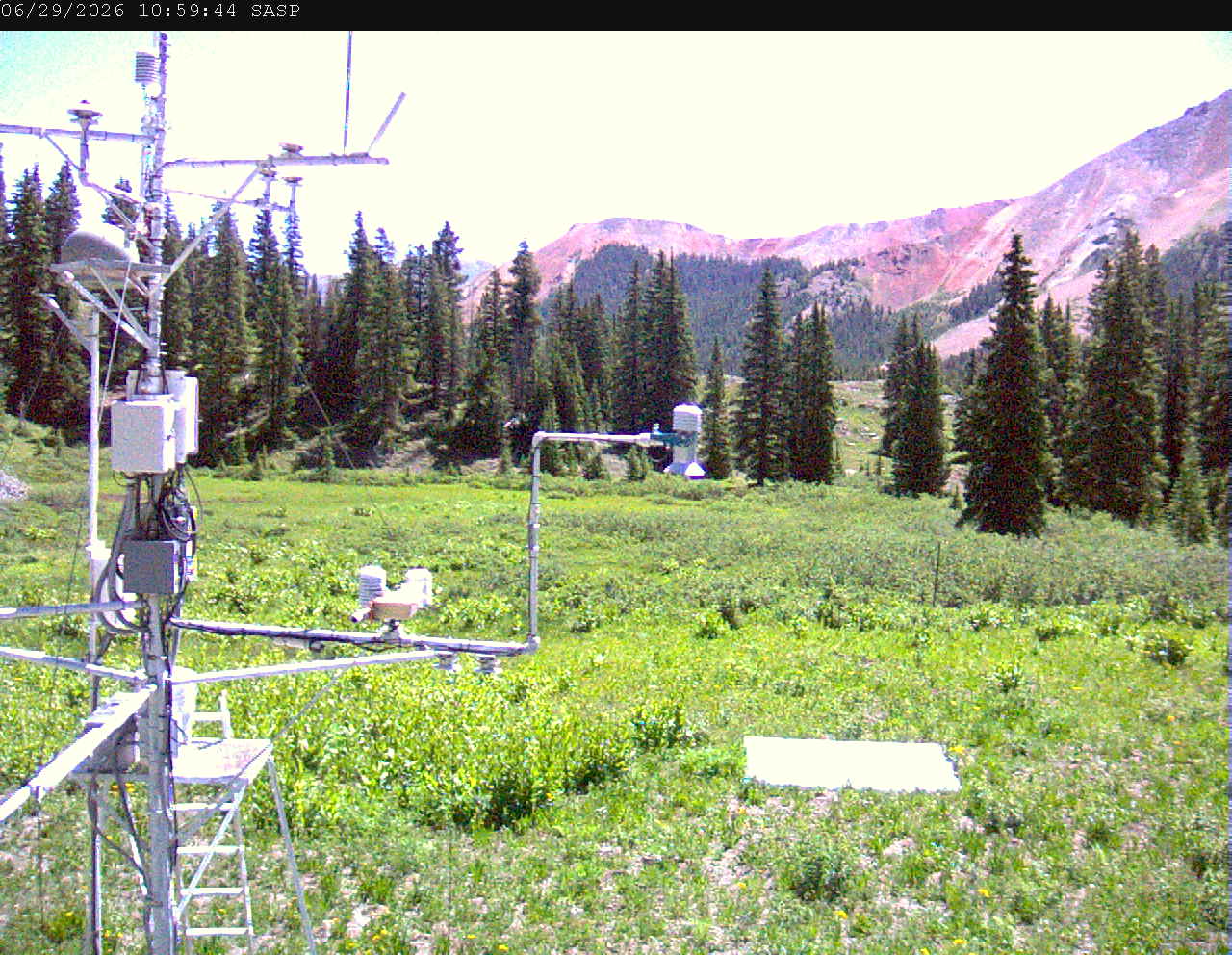 SASP image 4