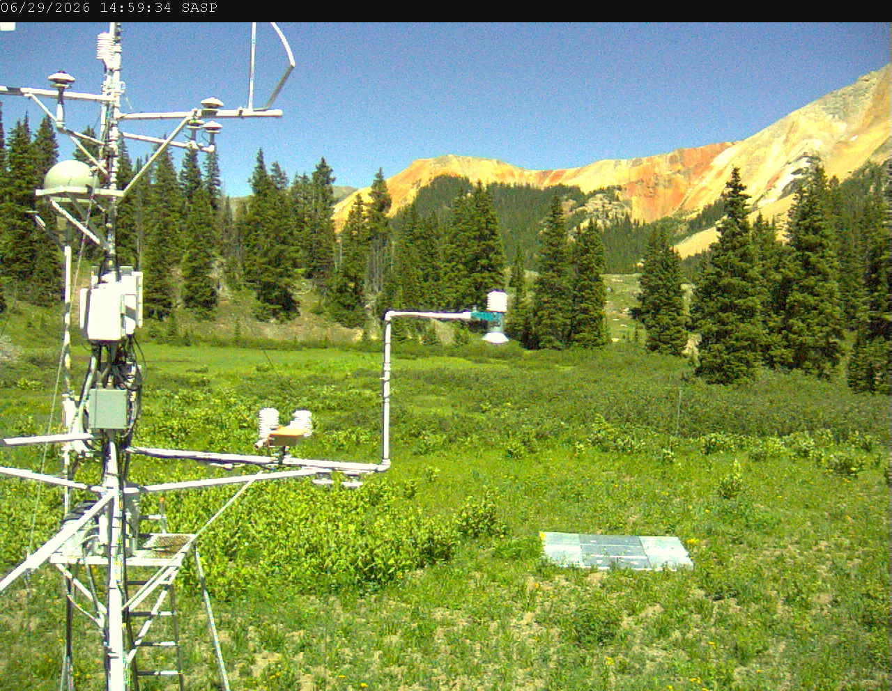 SASP image 3