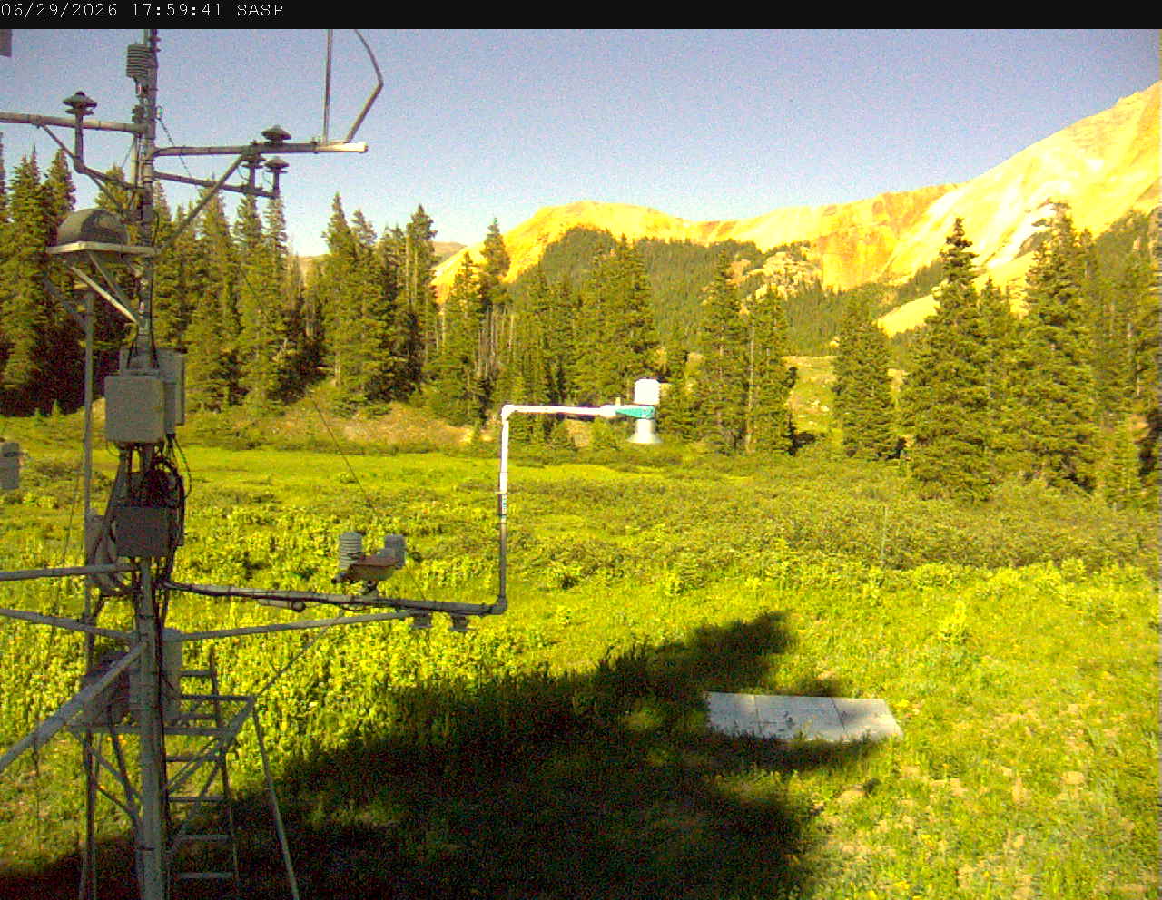 SASP image 1