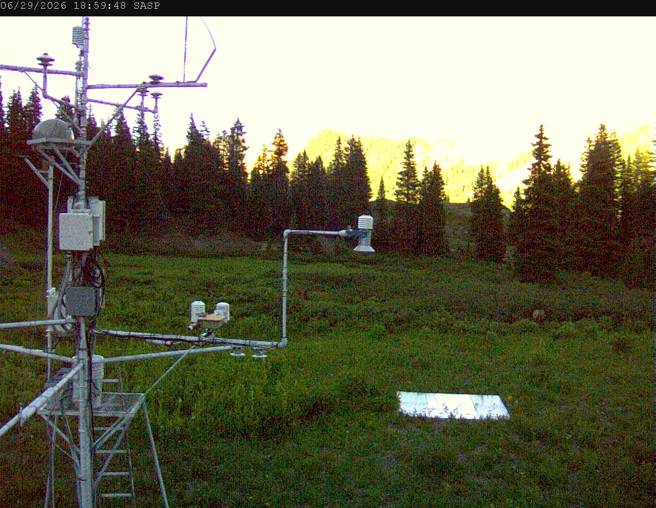 SASP image