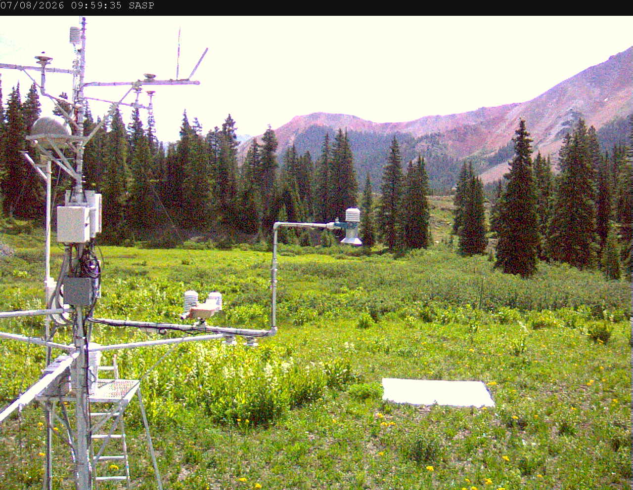 SASP image 7