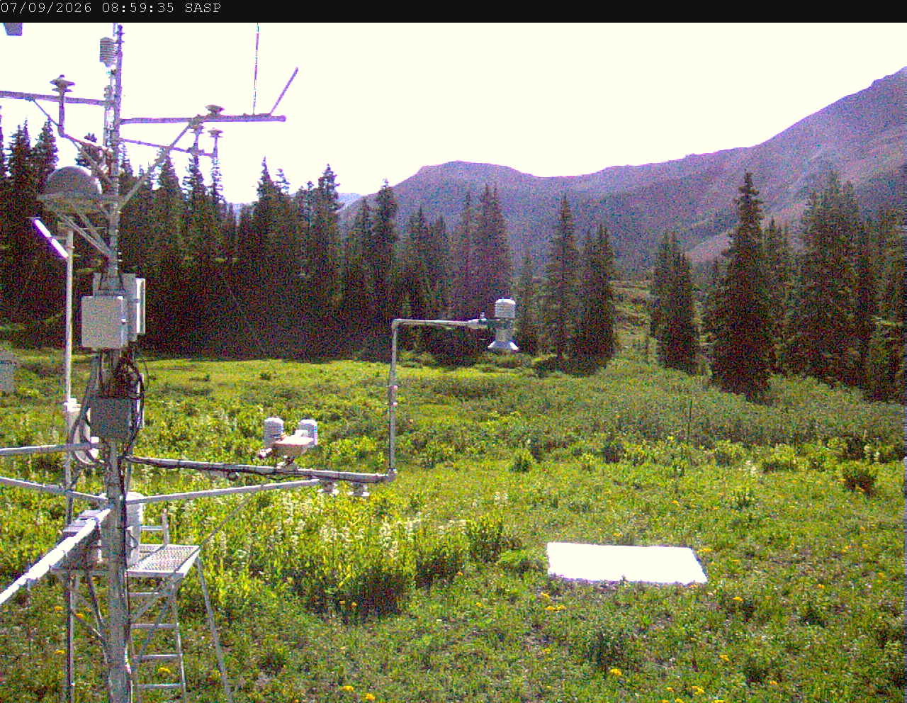 SASP image 6