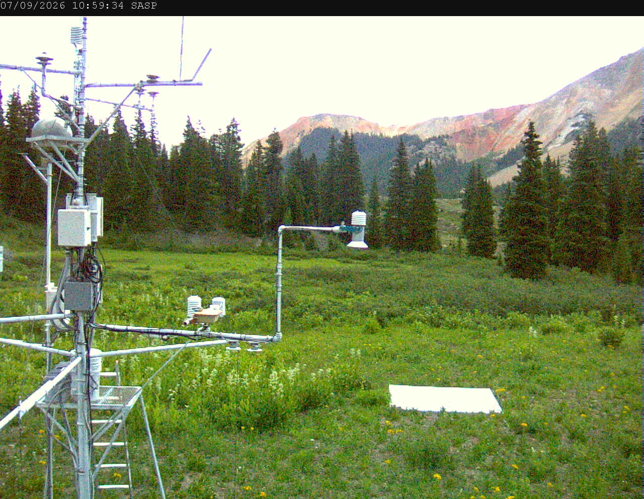 SASP image 5