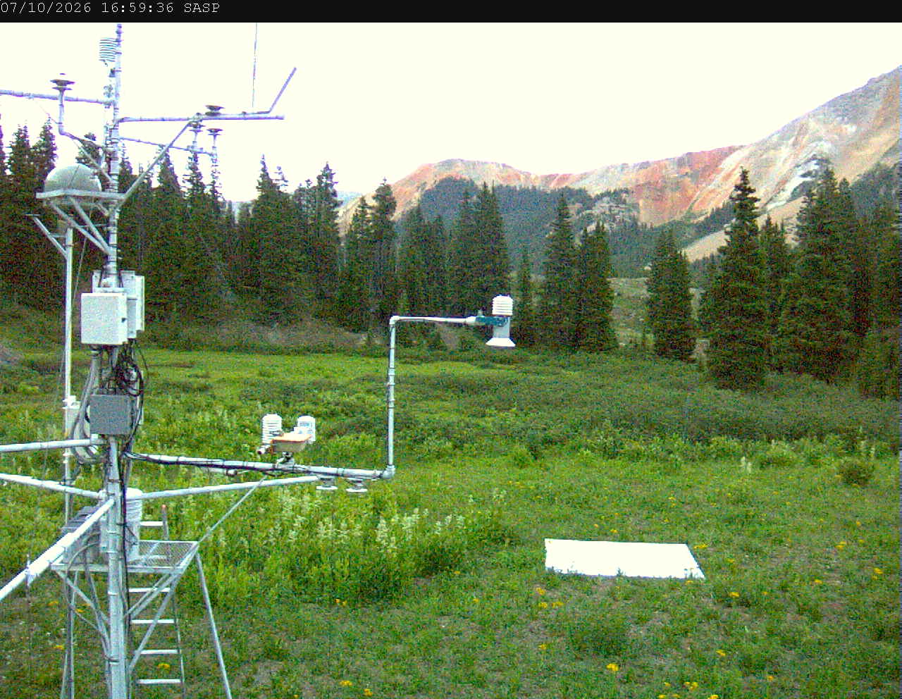 SASP image 4