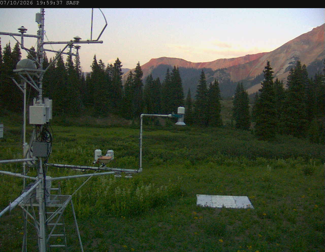 SASP image 3