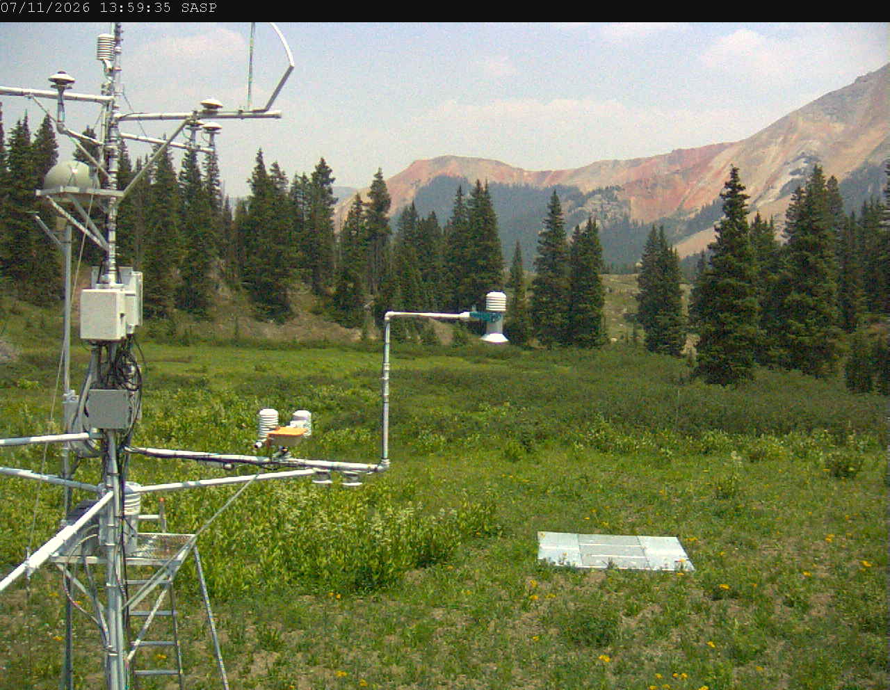 SASP image 1