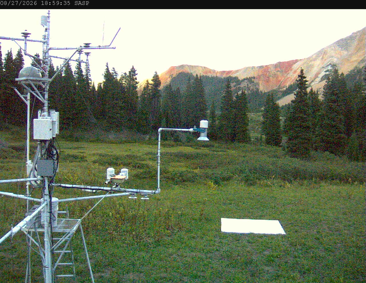 SASP image 7