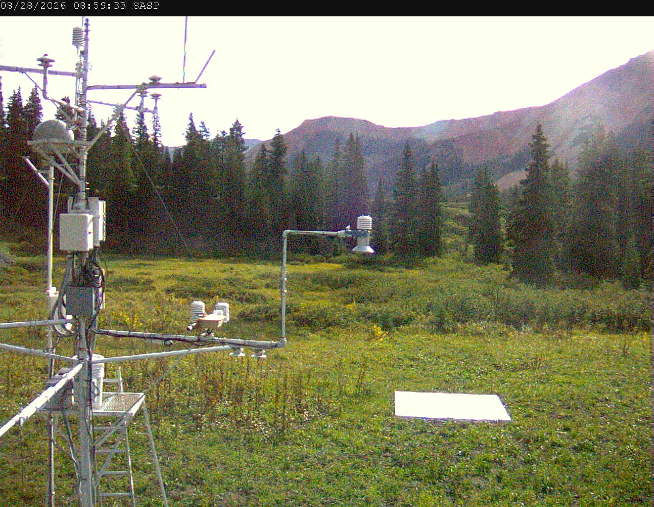 SASP image 6