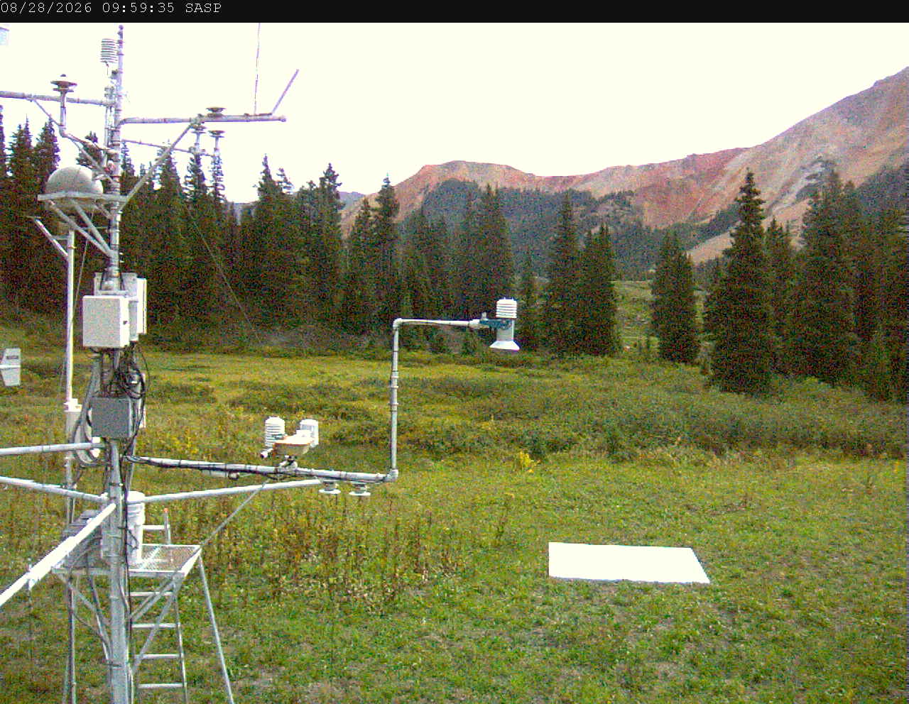 SASP image 5