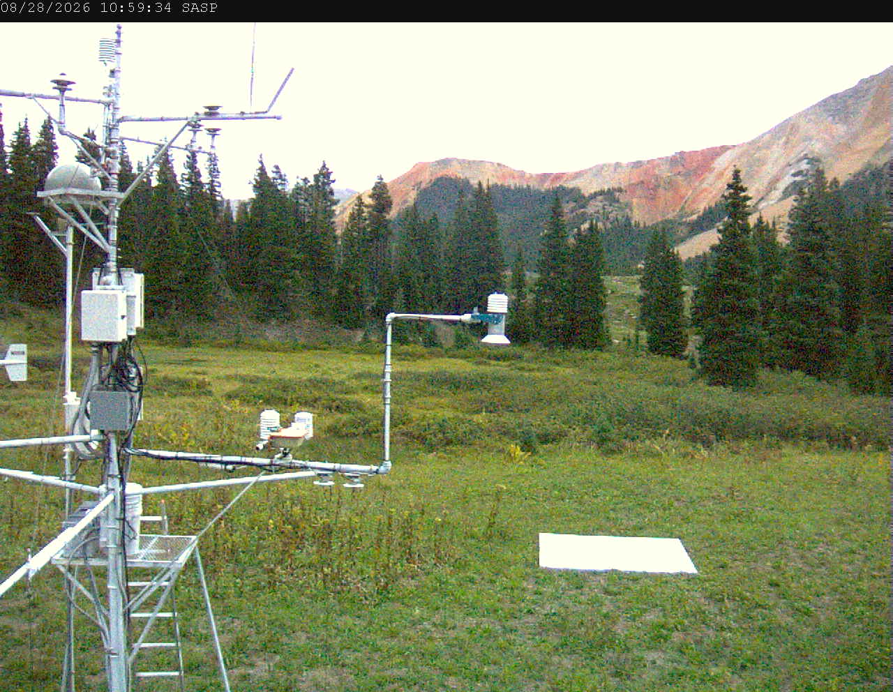 SASP image 4