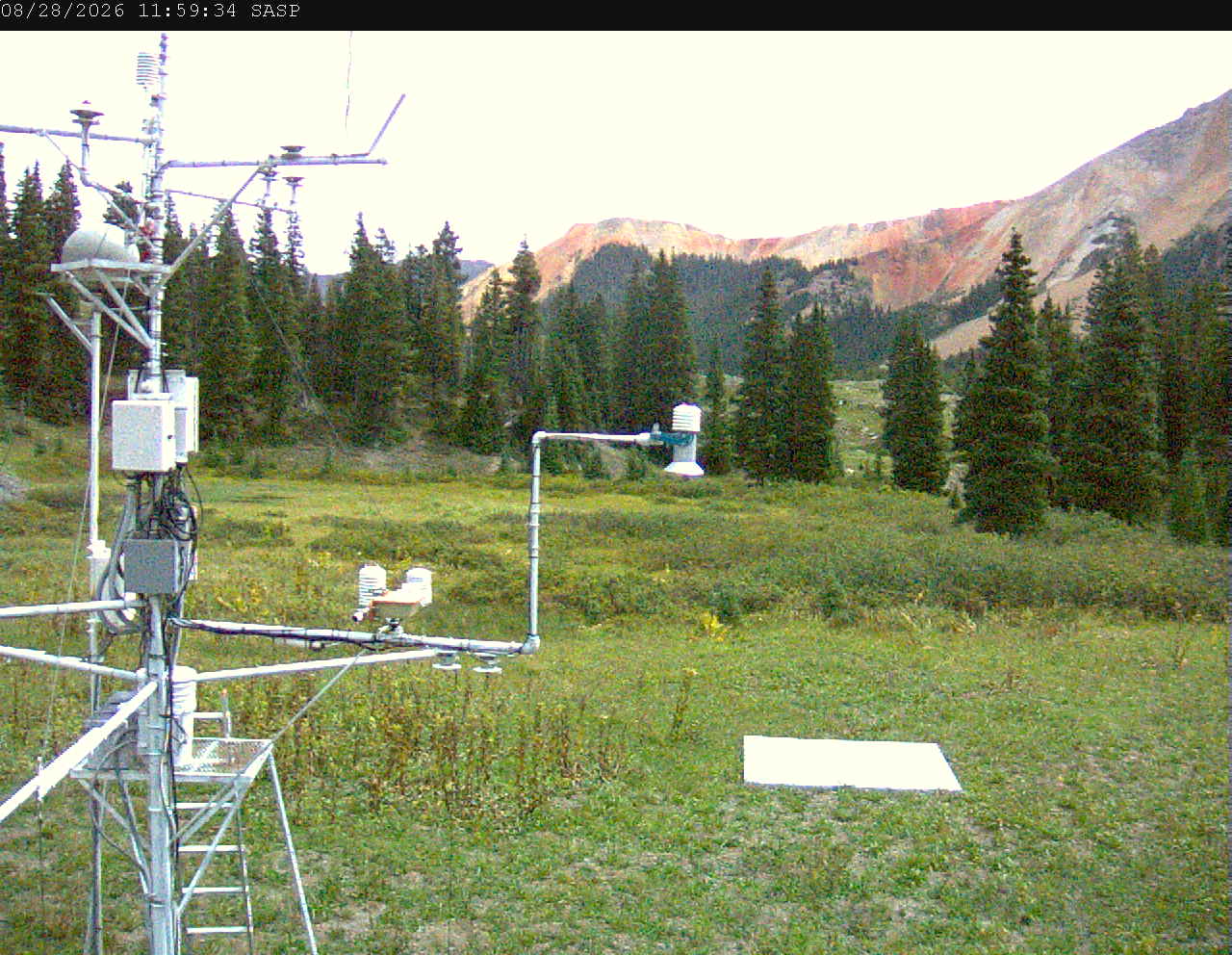 SASP image 3