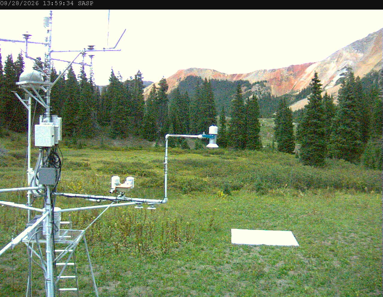 SASP image 1