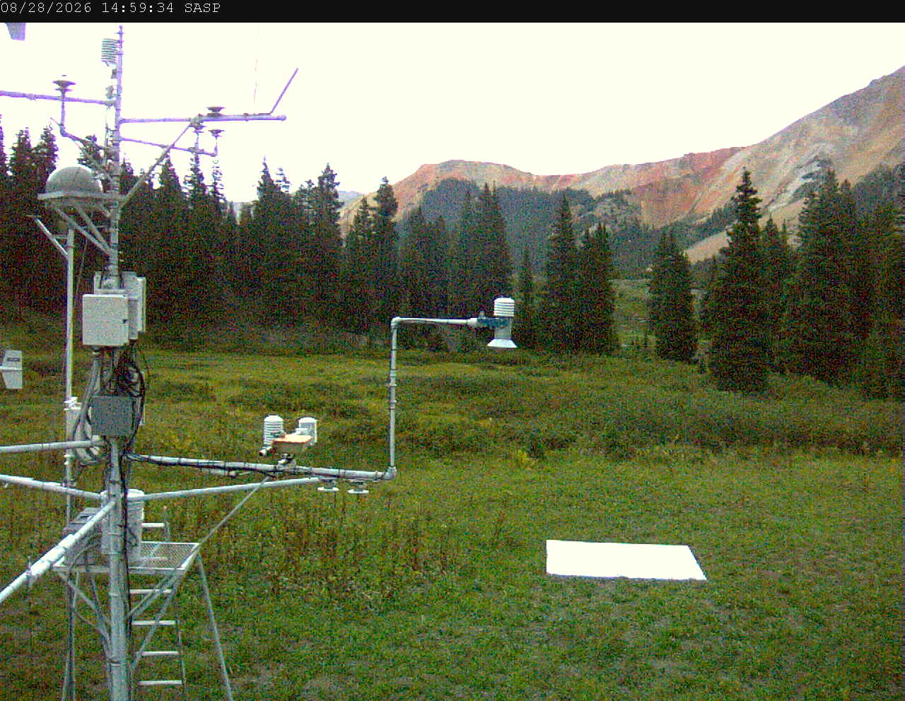 SASP image