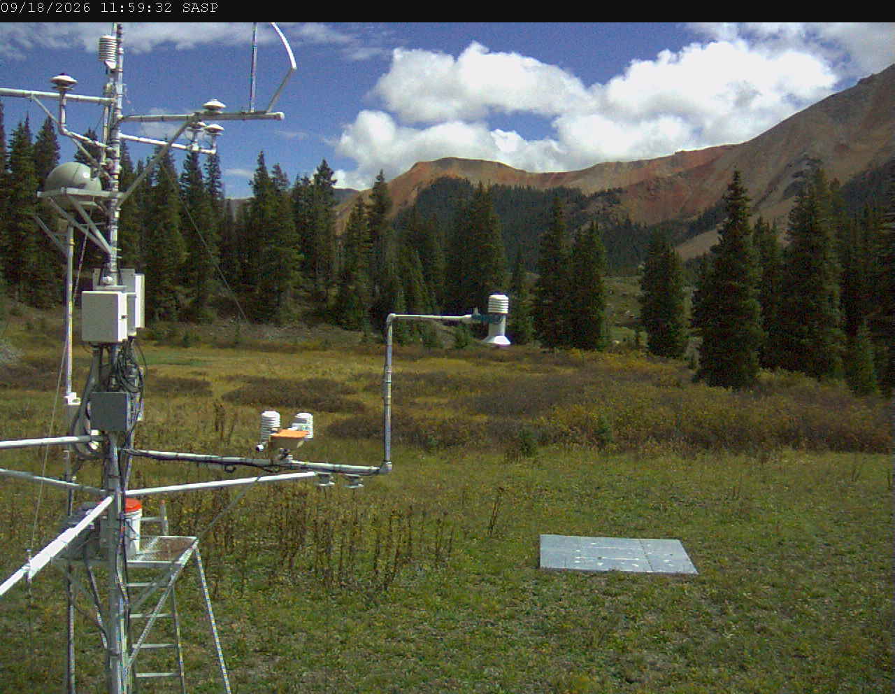 SASP image 7