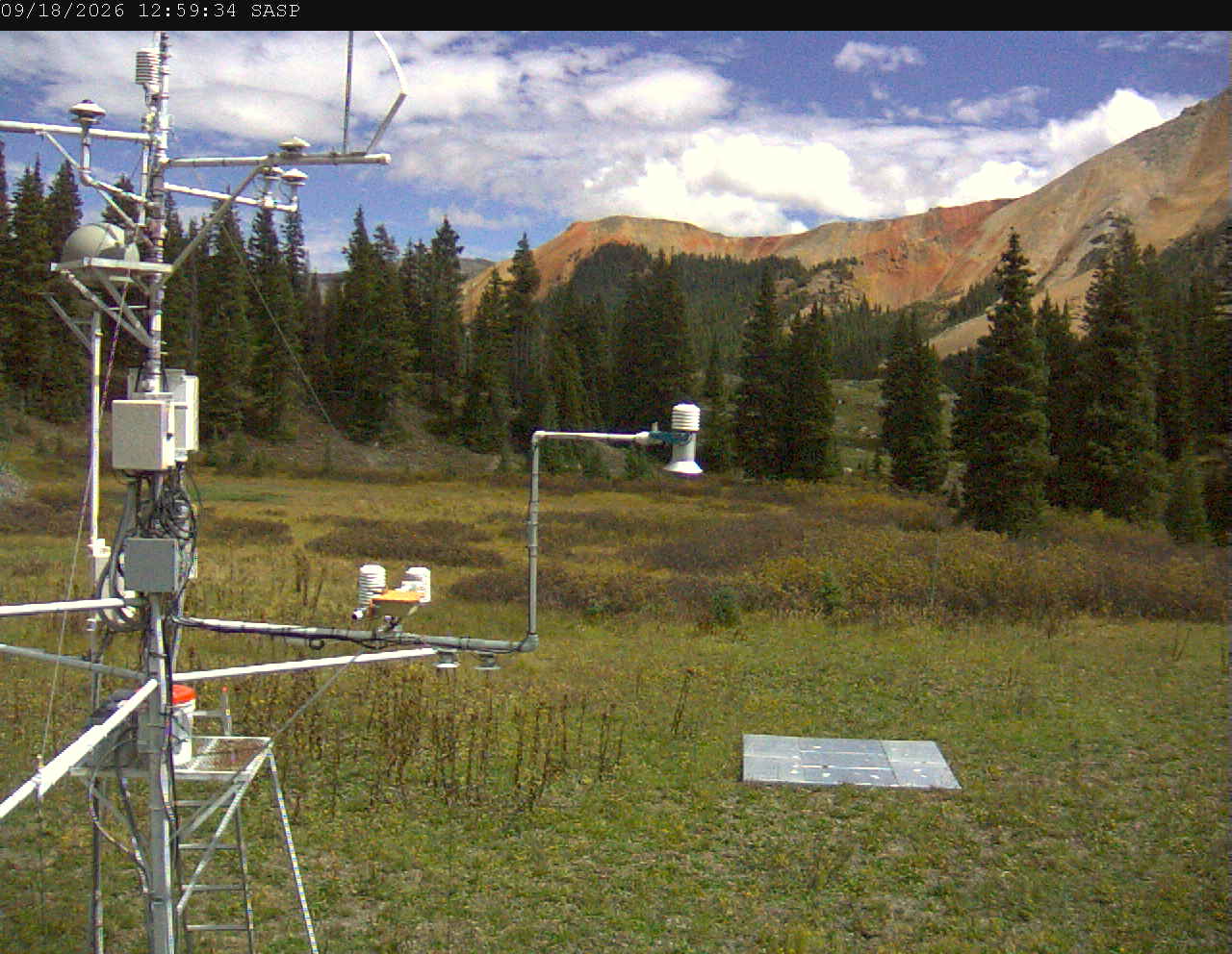 SASP image 6