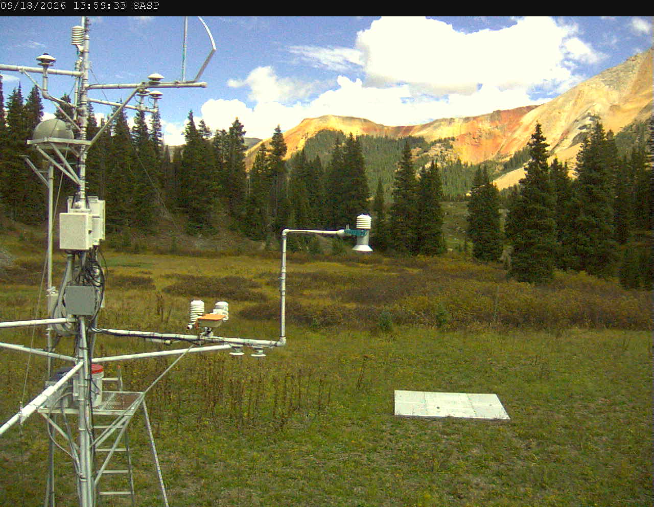 SASP image 5
