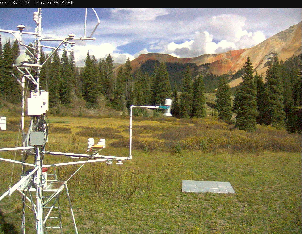 SASP image 4