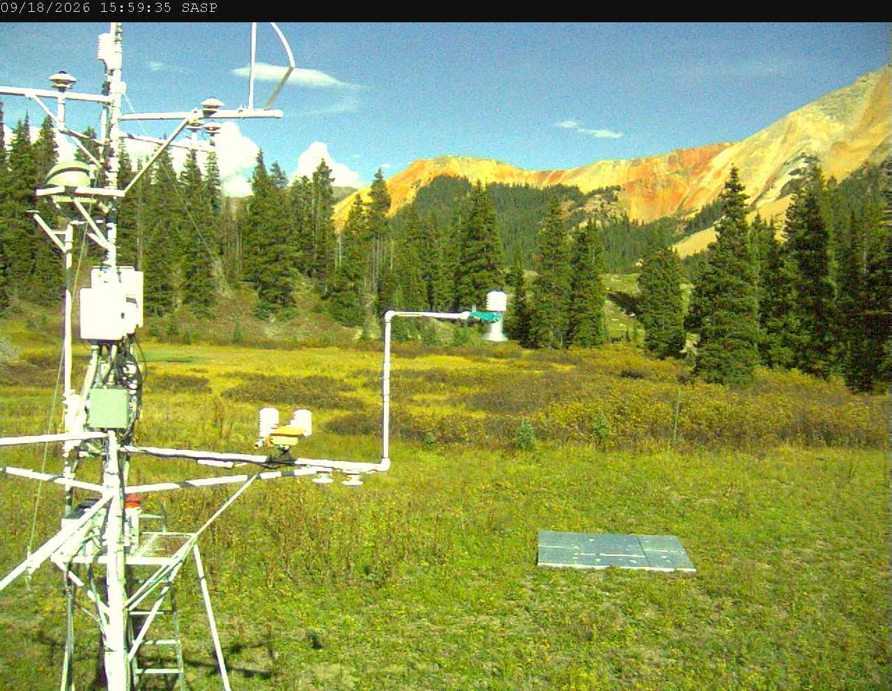 SASP image 3