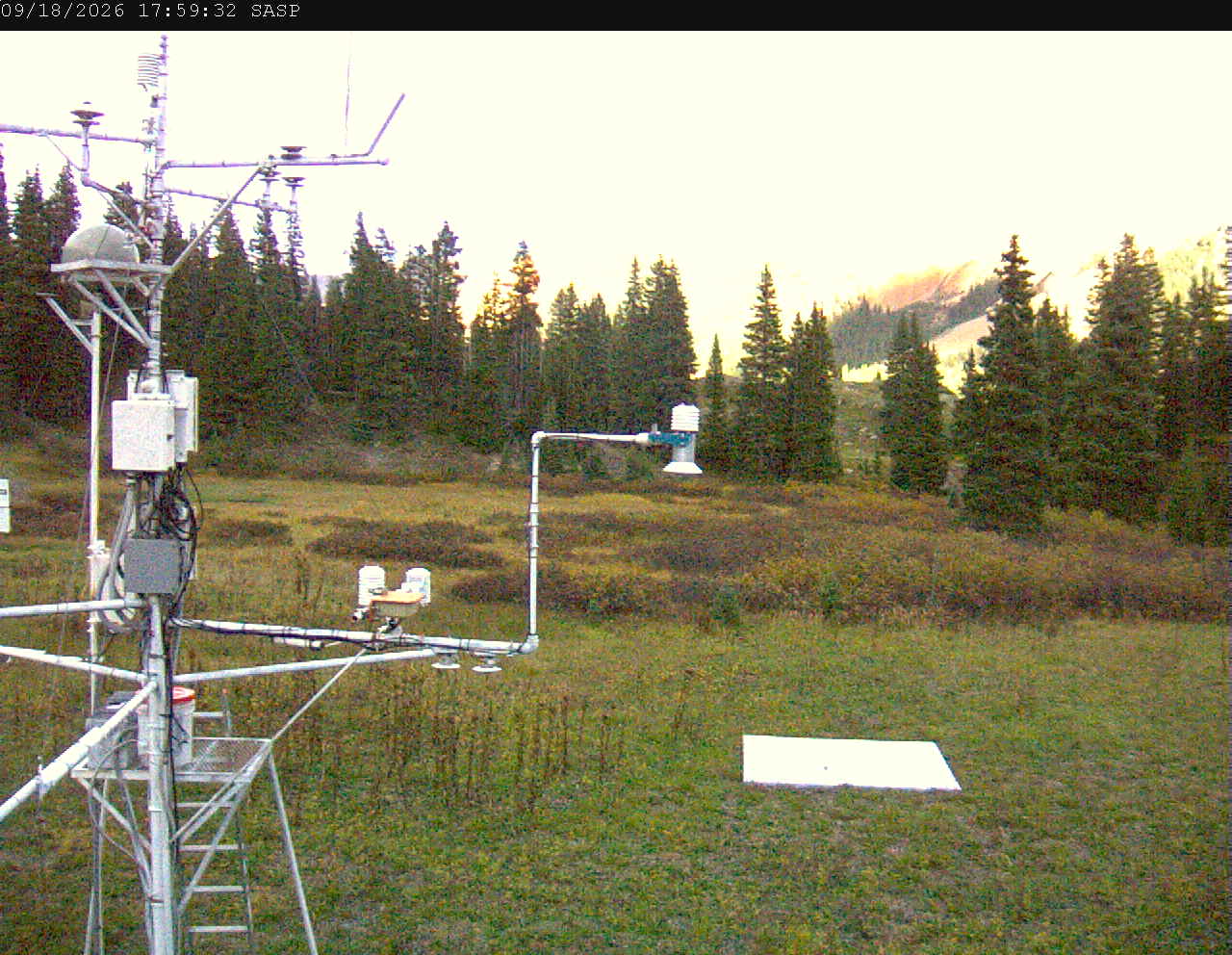SASP image 1