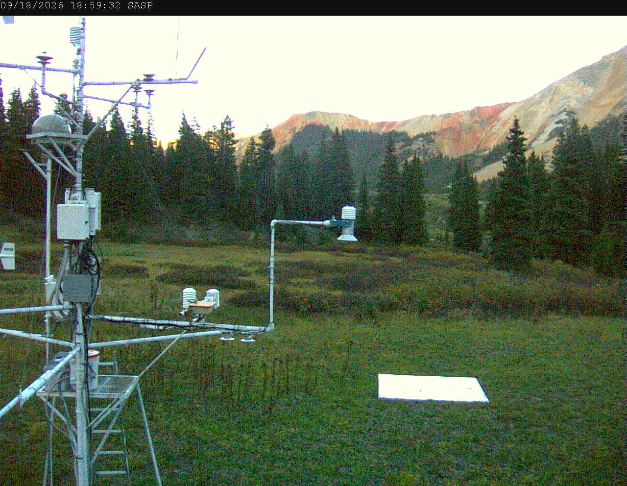 SASP image