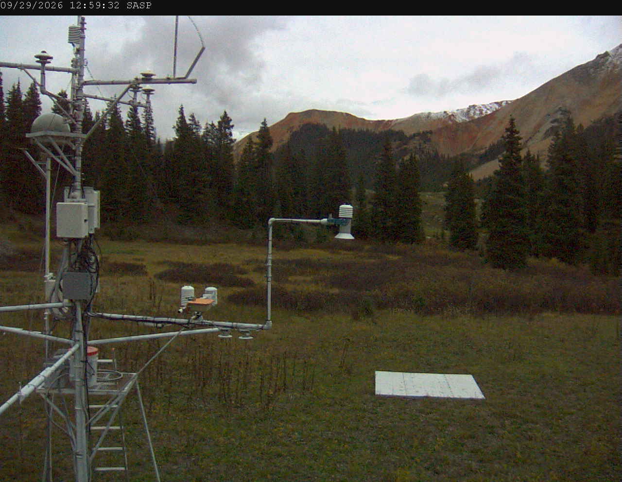 SASP image 7
