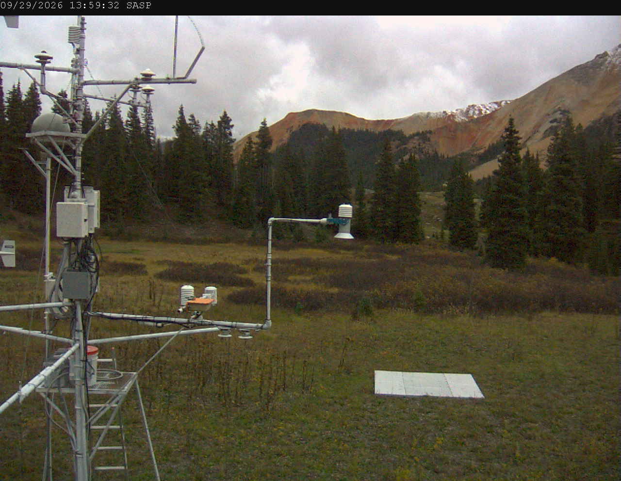 SASP image 6
