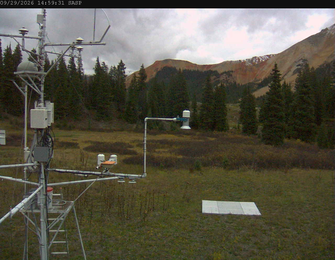 SASP image 5