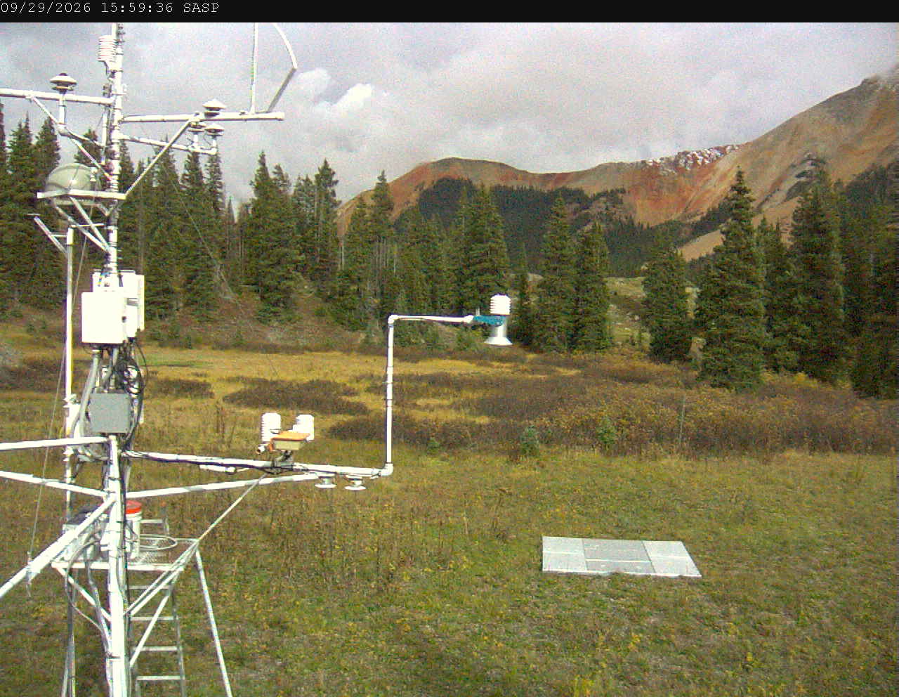 SASP image 4