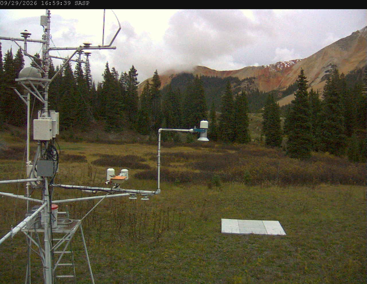SASP image 3