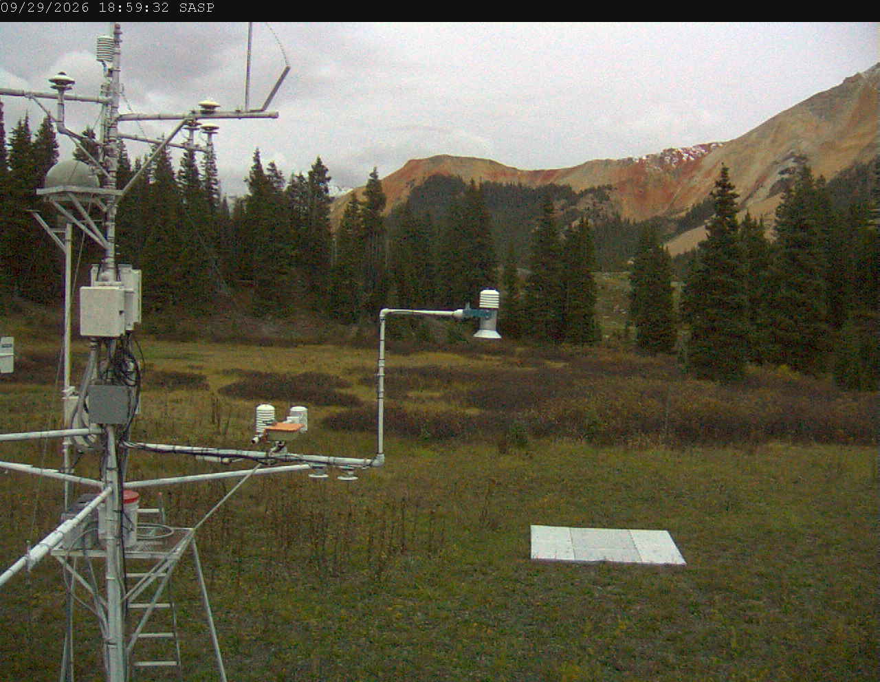 SASP image 1