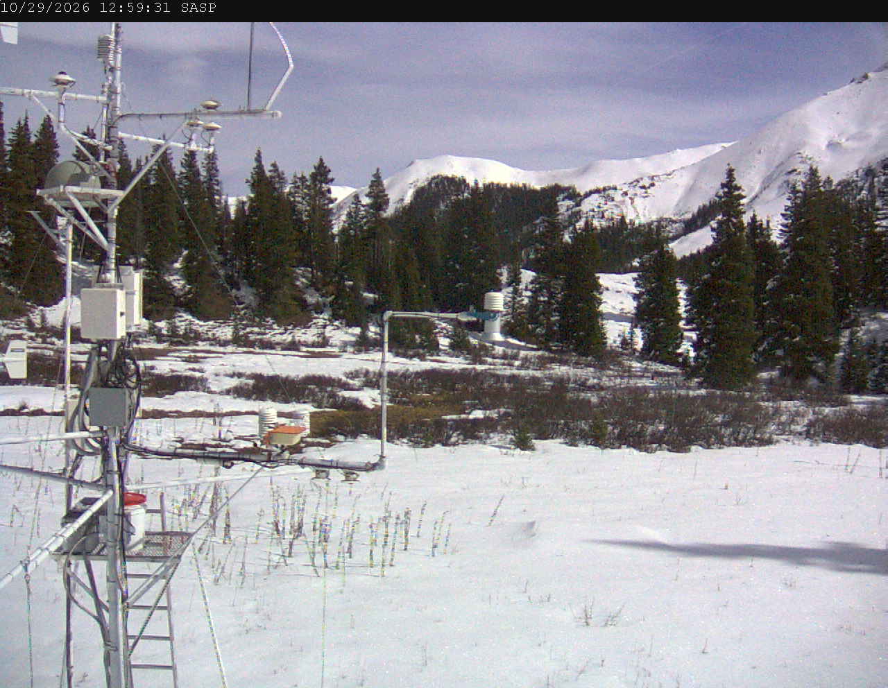 SASP image 6