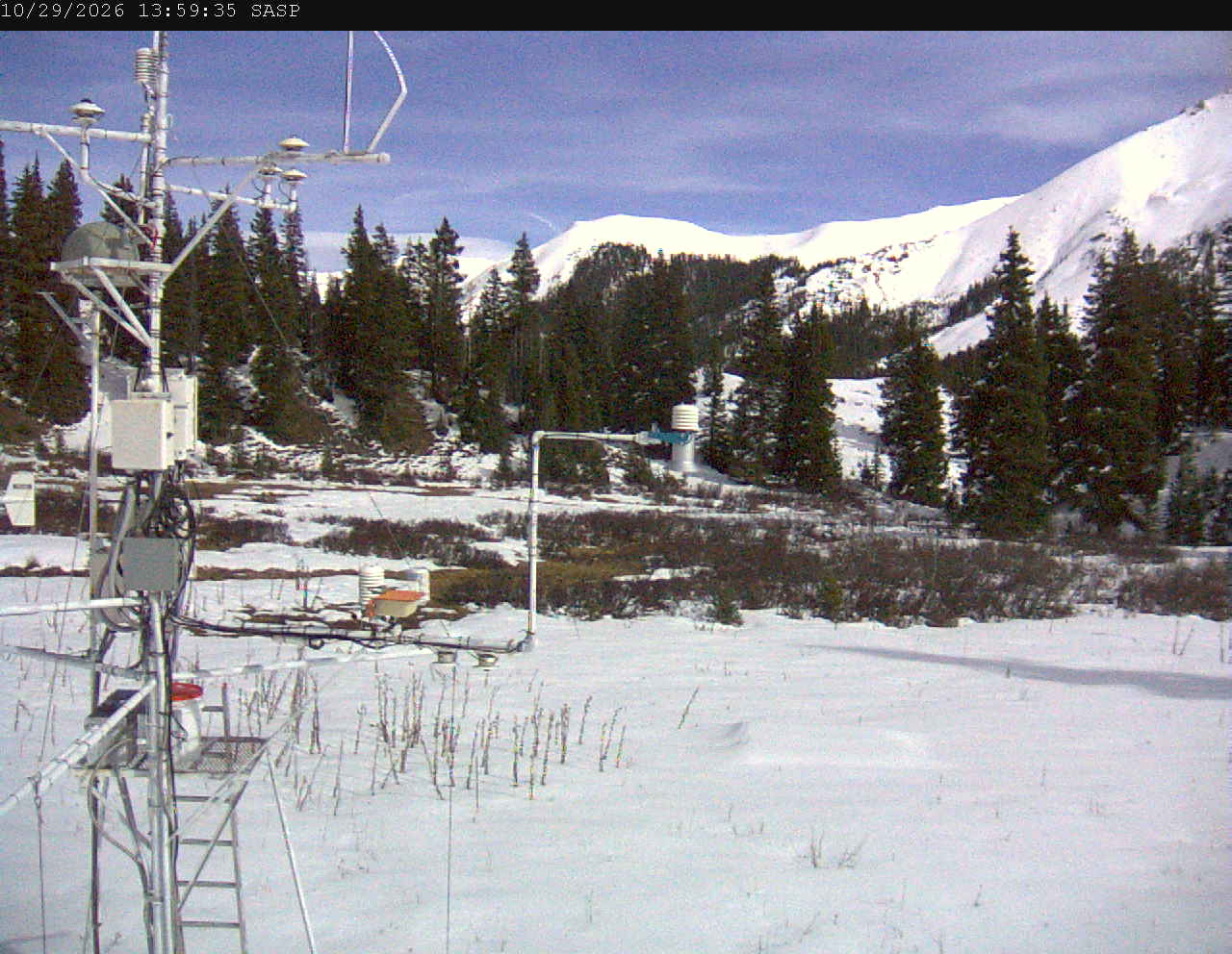 SASP image 5