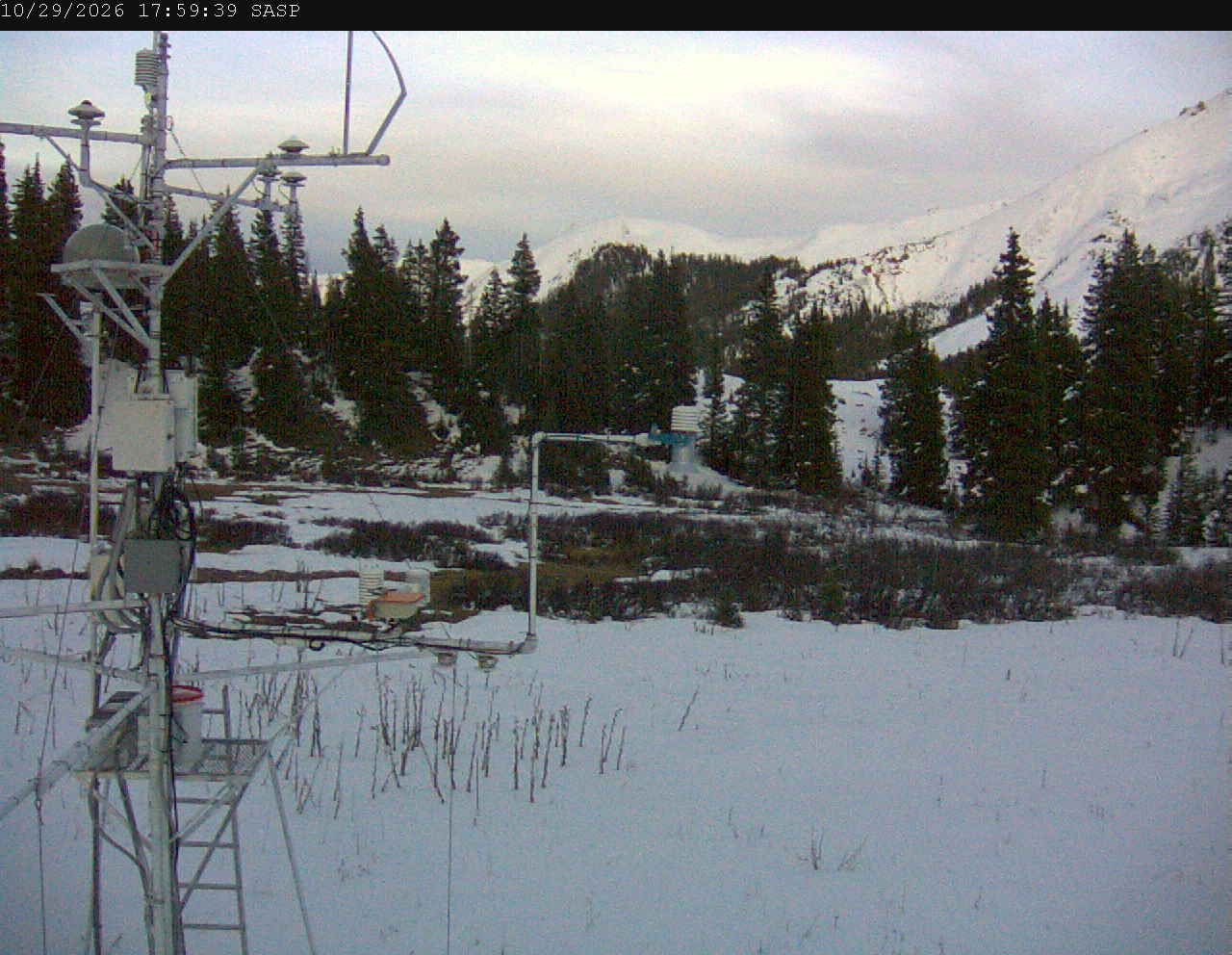 SASP image 1